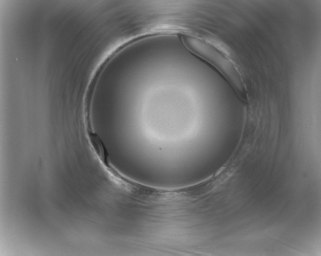 X0000061751430200512161705