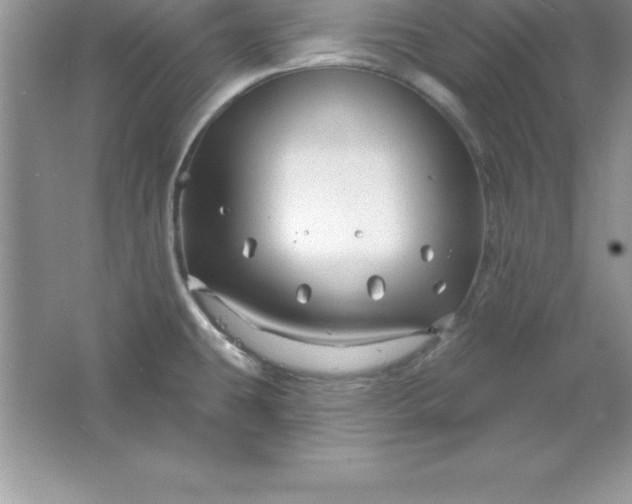 X0000061751431200512161705