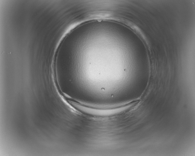 X0000061751432200512161705