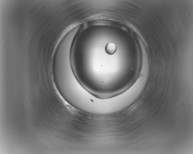 X0000061751434200512161705