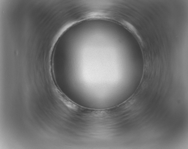 X0000061751435200512161705