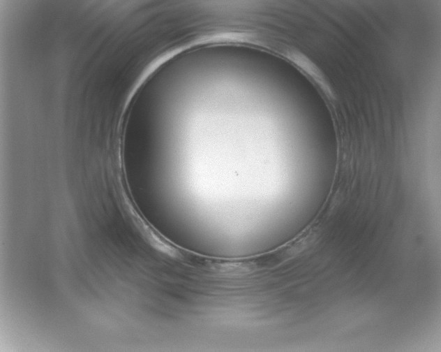 X0000061751436200512161705