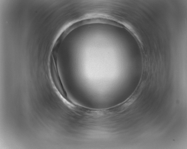 X0000061751438200512161705