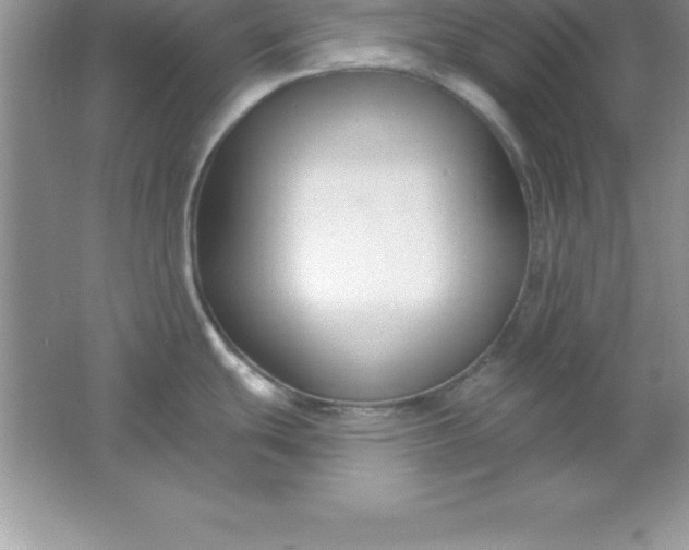 X0000061751439200512161705