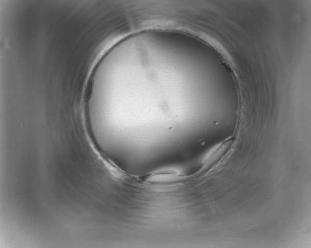 X0000061751440200512161705