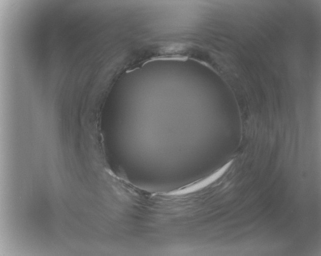 X0000061751441200512161704