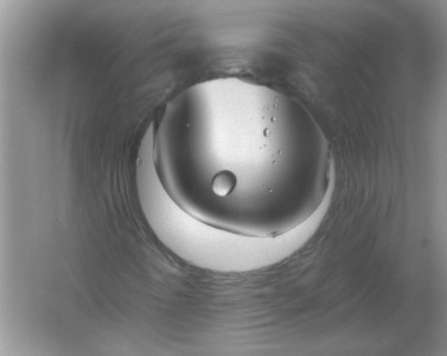 X0000061751442200512161704