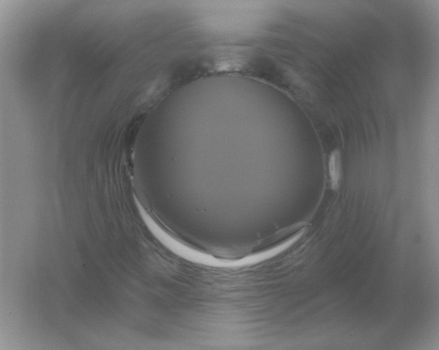 X0000061751443200512161704