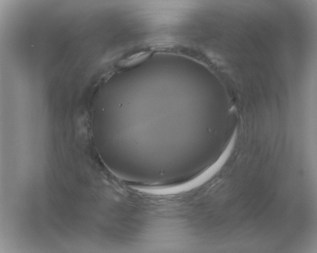 X0000061751445200512161704