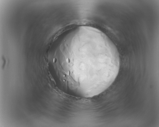 X0000061751446200512161704