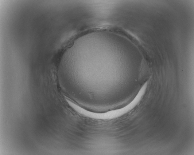 X0000061751447200512161704