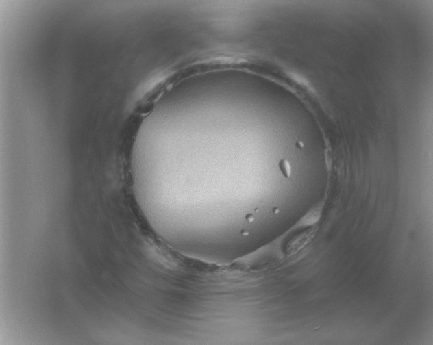 X0000061751448200512161704