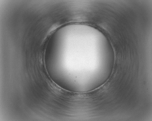 X0000061751451200512161704