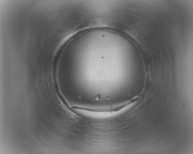 X0000061751452200512161704