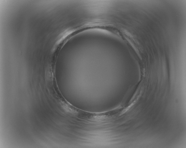 X0000061751453200512161704