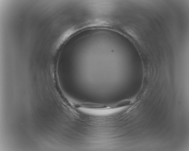 X0000061751455200512161704