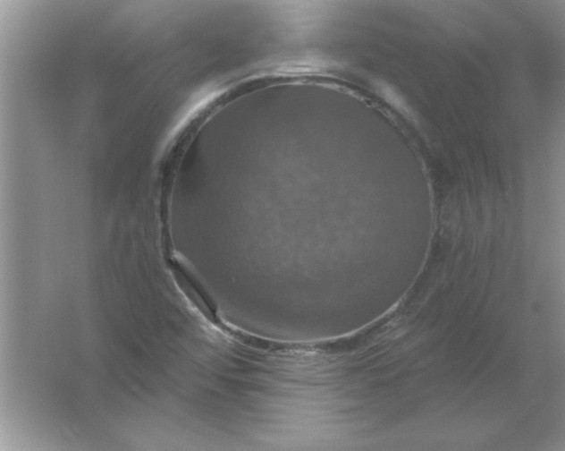 X0000061751456200512161704