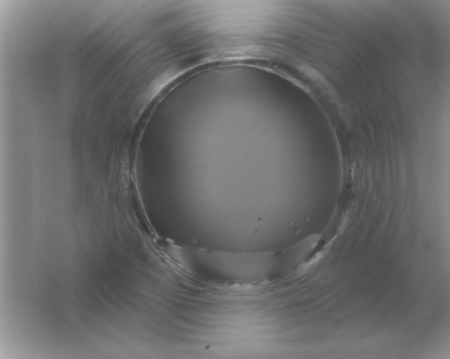 X0000061751457200512161704