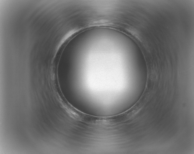 X0000061751458200512161704