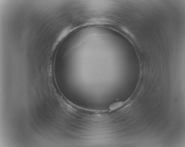 X0000061751459200512161704