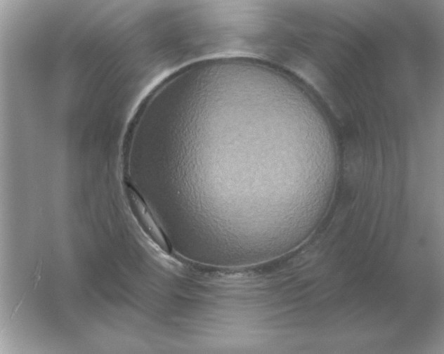 X0000061751460200512161704