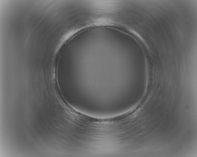 X0000061751461200512161704