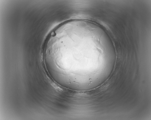 X0000061751462200512161704