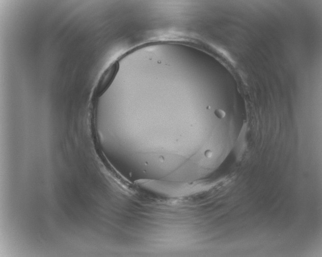 X0000061751463200512161704