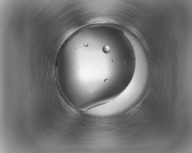 X0000061751465200512161704