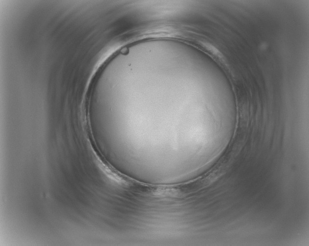 X0000061751466200512161704