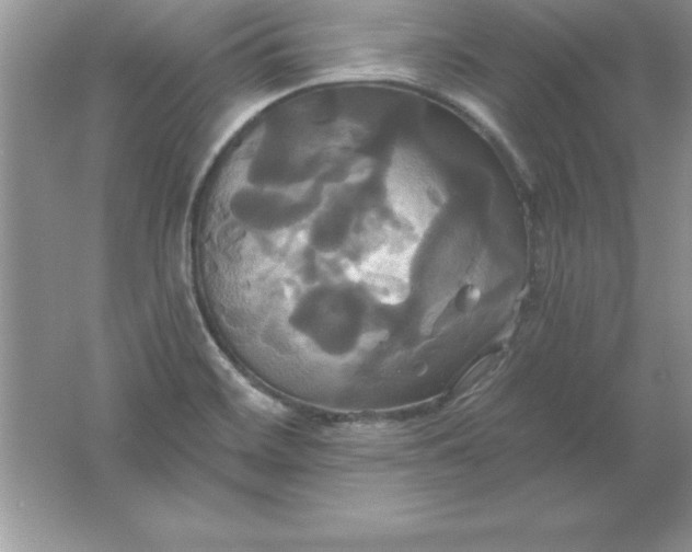 X0000061751468200512161704