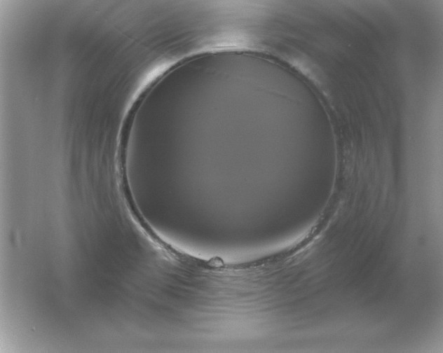 X0000061751469200512161704