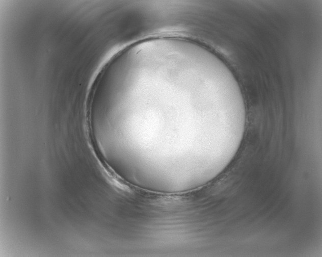 X0000061751470200512161704