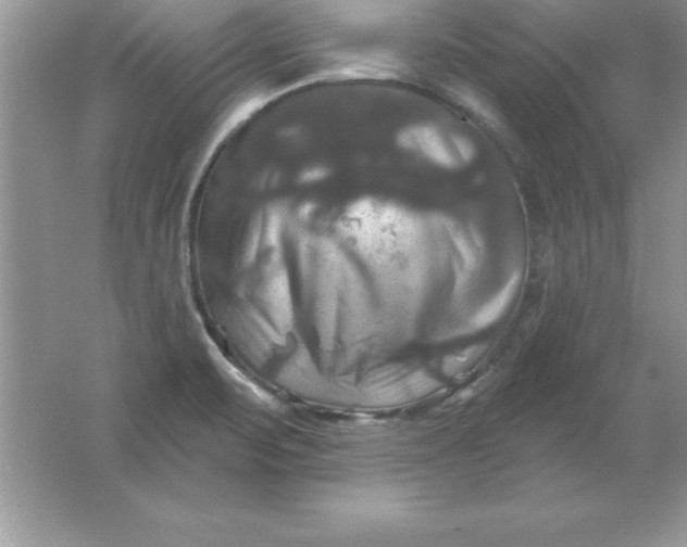 X0000061751471200512161704