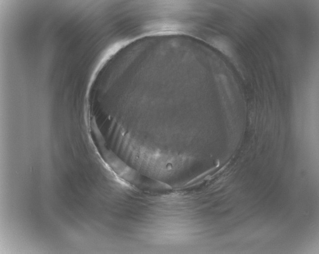 X0000061751472200512161704