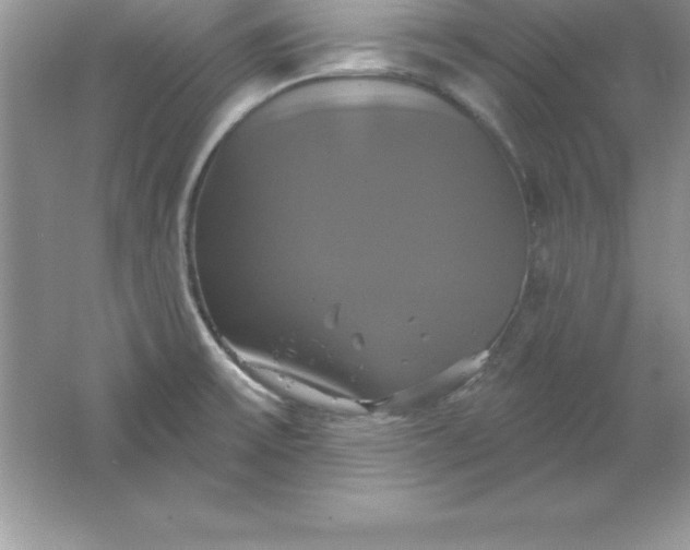 X0000061751475200512161703