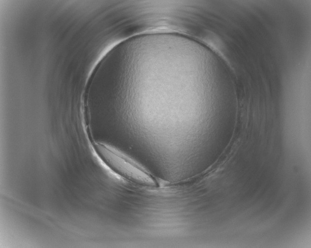 X0000061751476200512161703