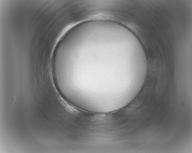 X0000061751478200512161703