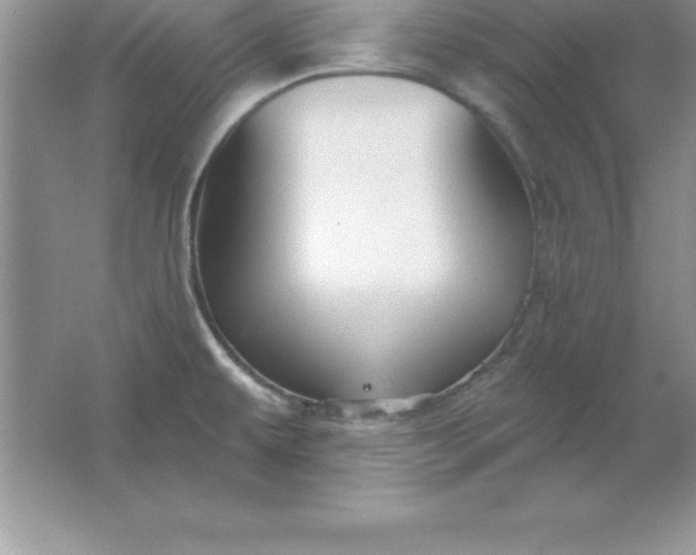 X0000061751479200512161703