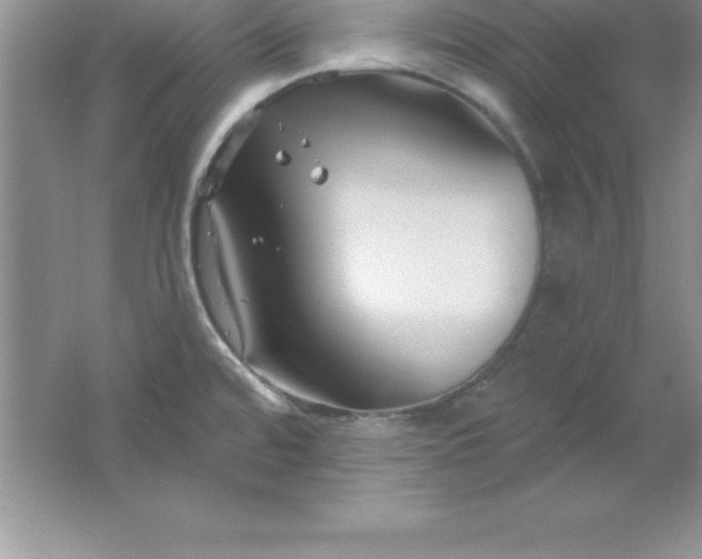 X0000061751480200512161703