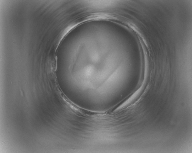 X0000061751481200512161703