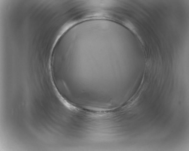 X0000061751482200512161703