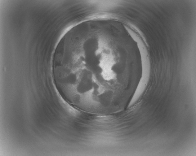 X0000061751483200512161703