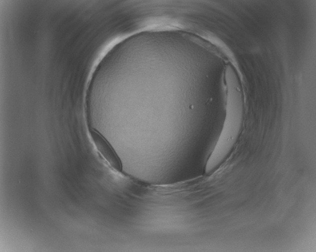 X0000061751488200512161703