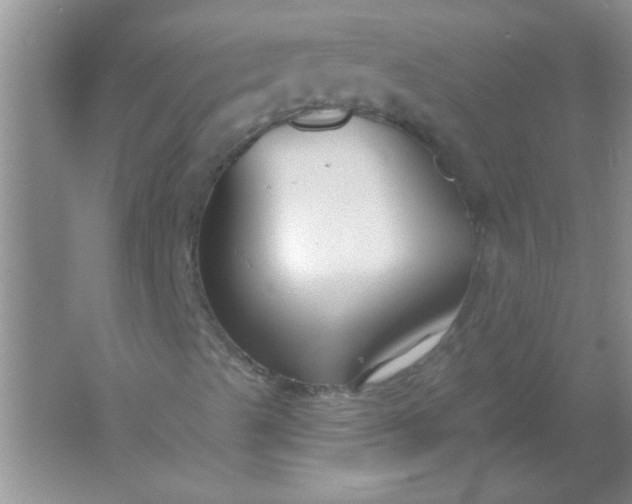 X0000061751489200512161702