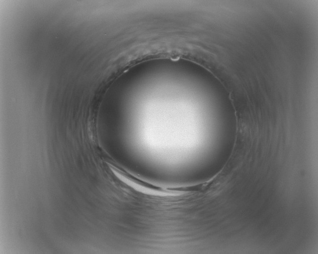 X0000061751490200512161702