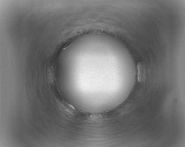 X0000061751491200512161702