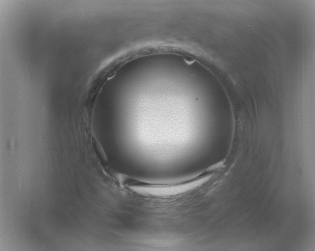 X0000061751494200512161702