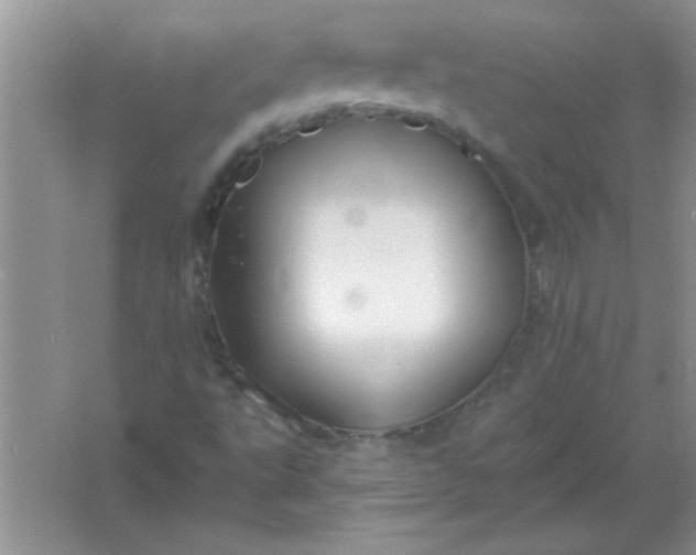 X0000061751495200512161703