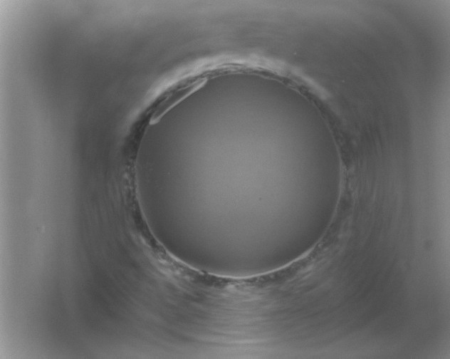 X0000061751496200512161703